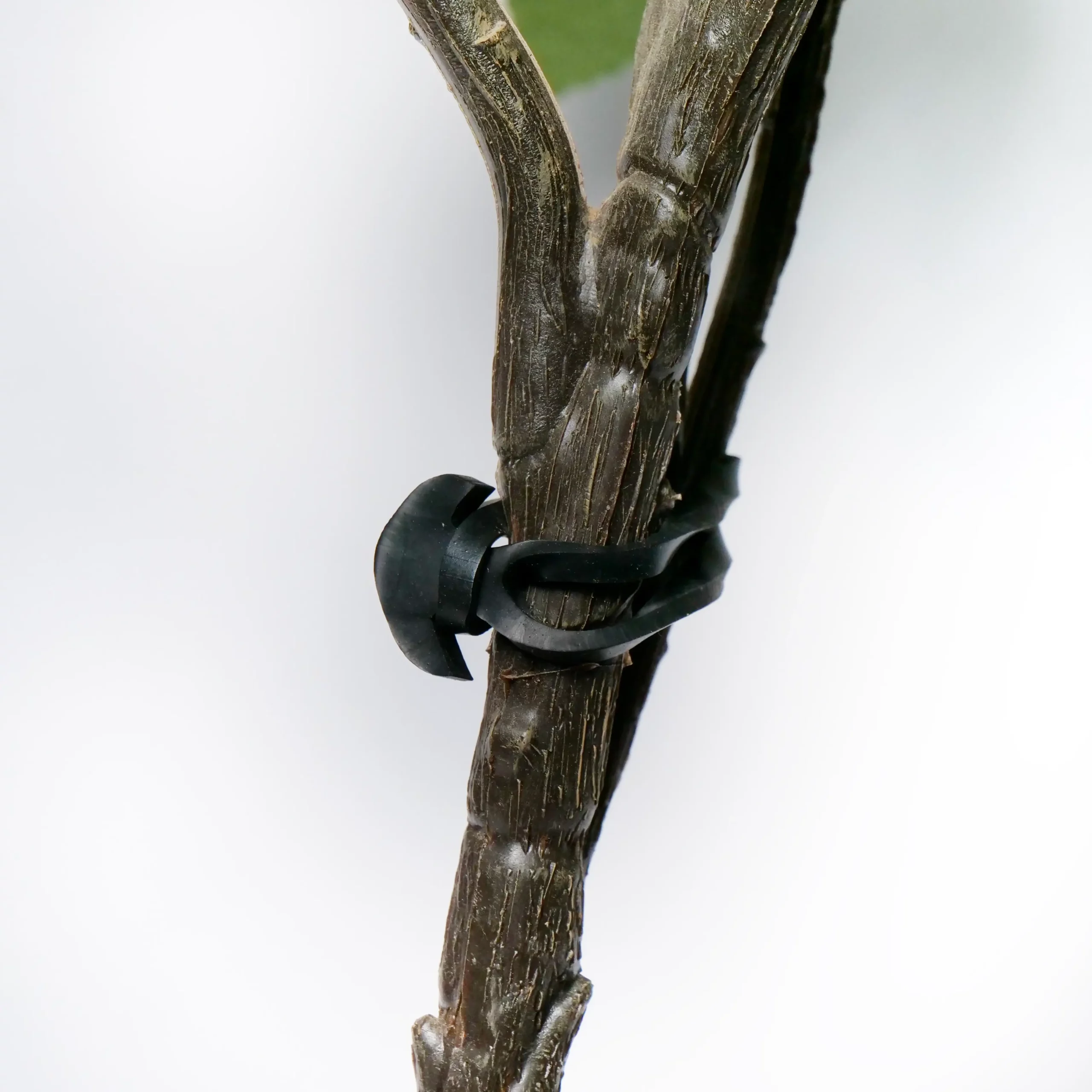 vignoble pic1 1 scaled 1
